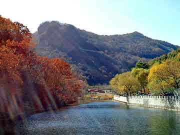 新澳天天开奖资料大全旅游团，湖南黄粉虫